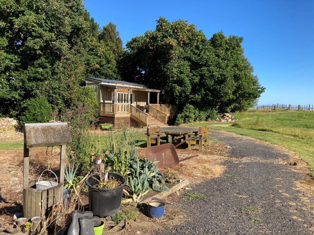 The Treehut Villa Ohauiti ภายนอก รูปภาพ
