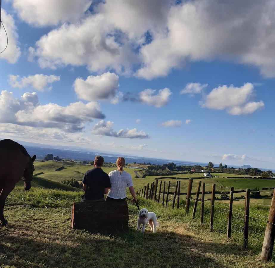 The Treehut Villa Ohauiti ภายนอก รูปภาพ